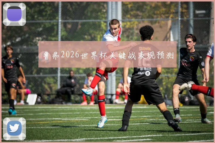 鲁弗2026世界杯关键战表现预测