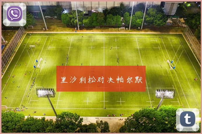 里沙利松对决帕尔默