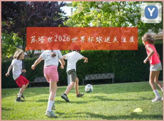 苏塔尔2026世界杯球迷关注度