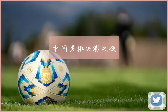 中国男排决赛之夜