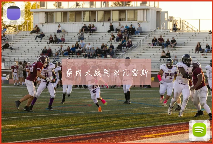 萨内大战阿尔瓦雷斯