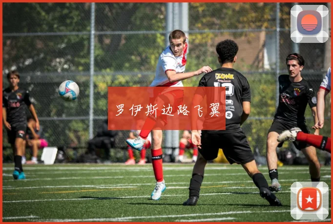 罗伊斯边路飞翼