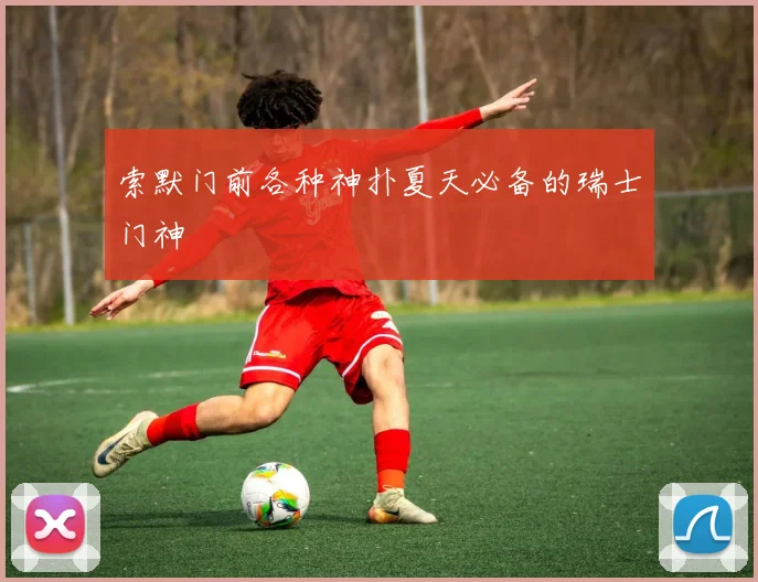 索默门前各种神扑夏天必备的瑞士门神