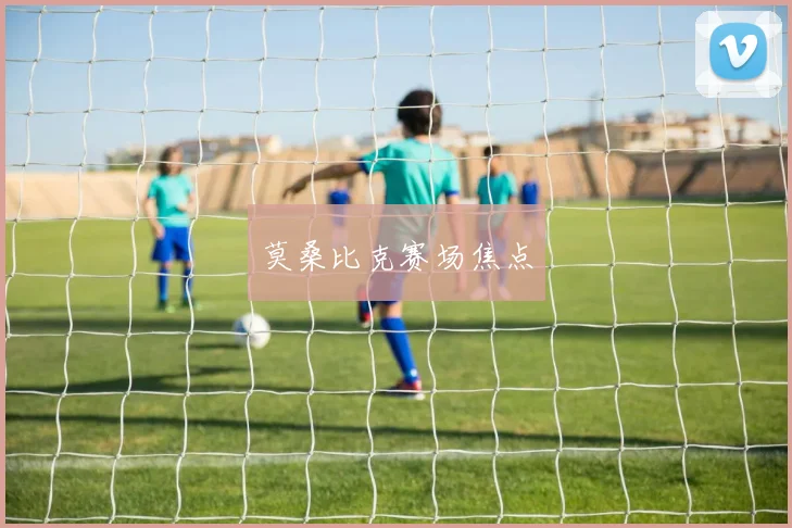莫桑比克赛场焦点