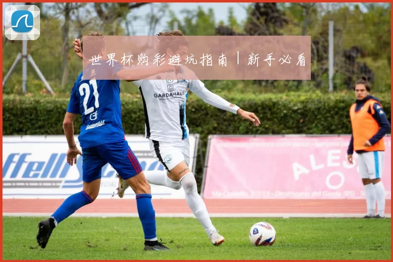 世界杯购彩避坑指南｜新手必看