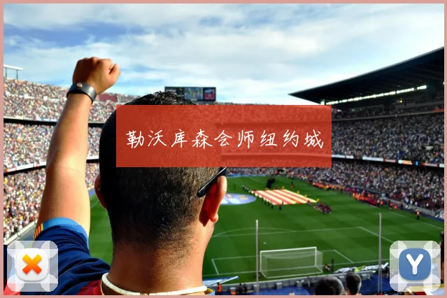 勒沃库森会师纽约城