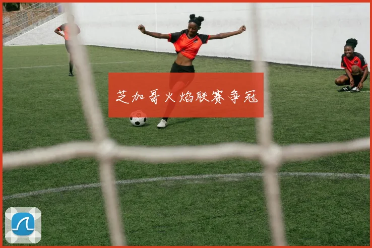 芝加哥火焰联赛争冠