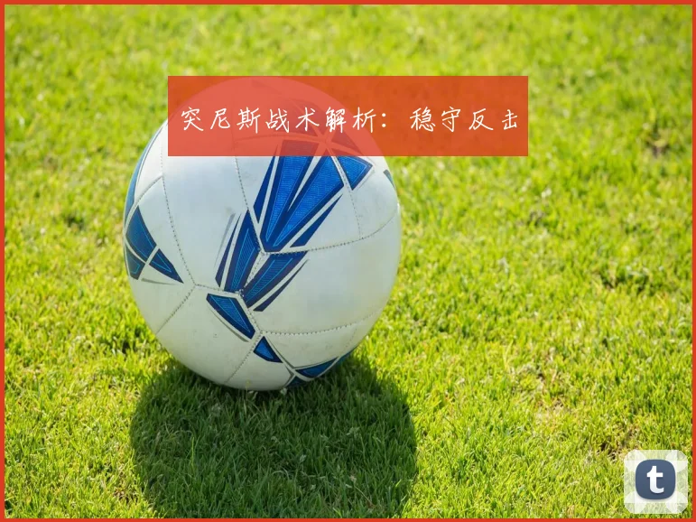 突尼斯战术解析：稳守反击