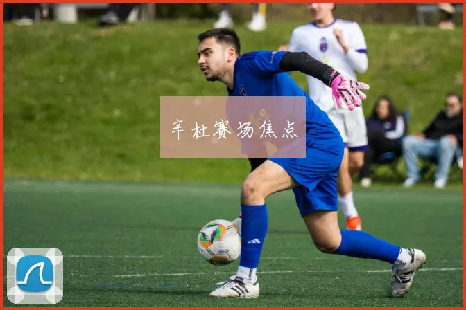 辛杜赛场焦点