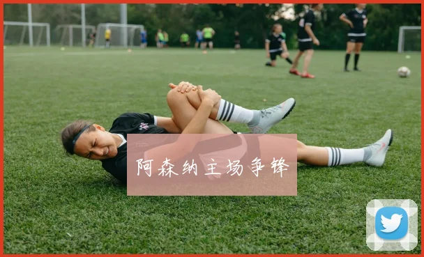 阿森纳主场争锋