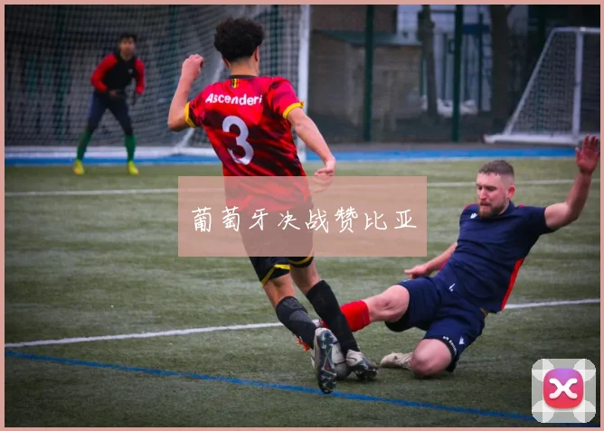 葡萄牙决战赞比亚