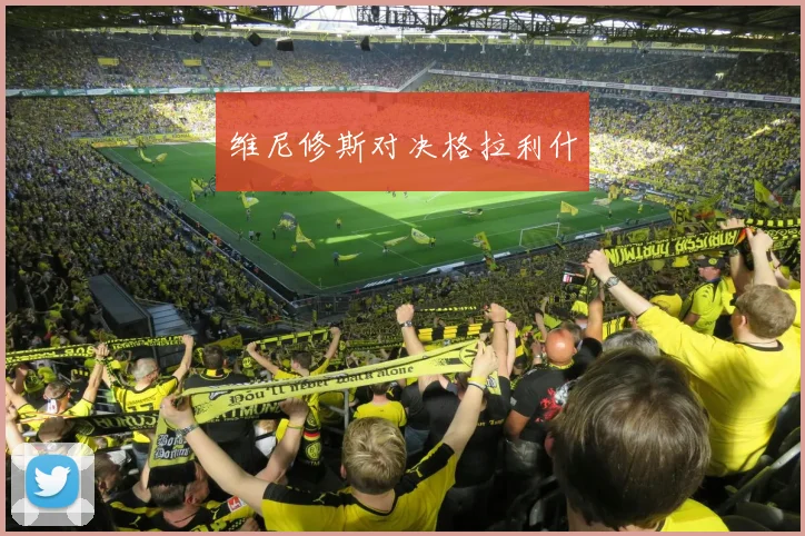 维尼修斯对决格拉利什
