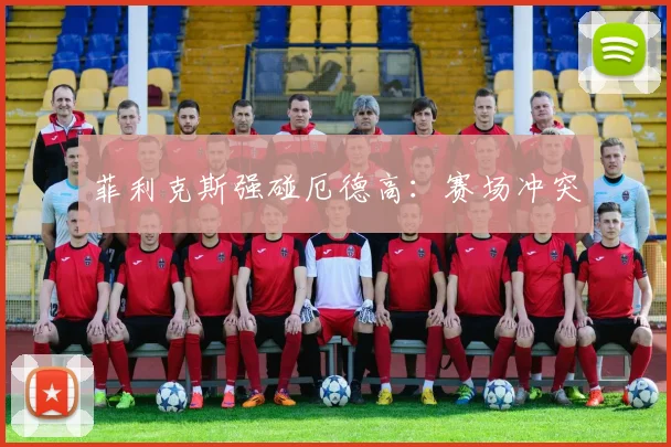 菲利克斯强碰厄德高：赛场冲突
