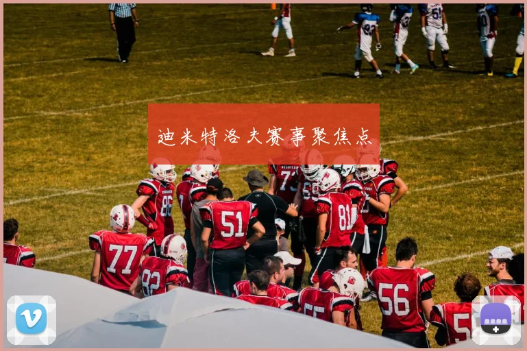 迪米特洛夫赛事聚焦点