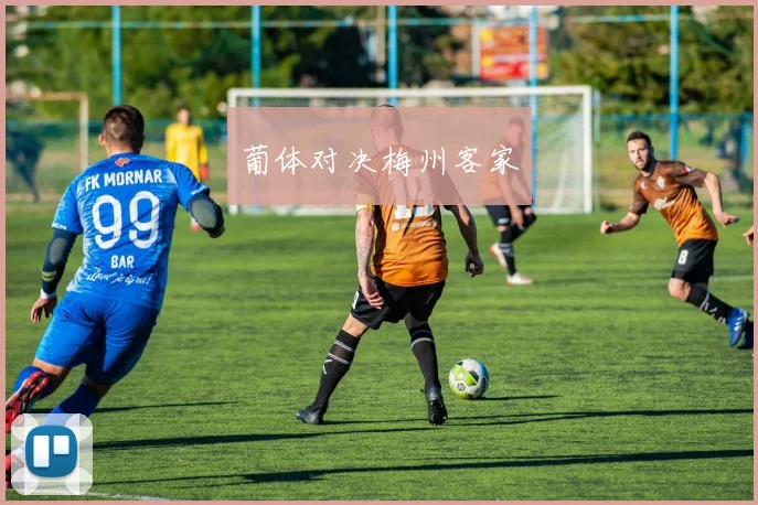 葡体对决梅州客家