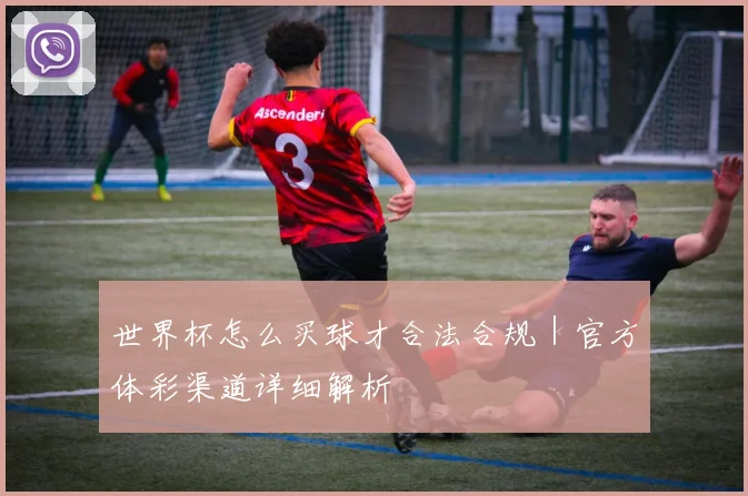 世界杯怎么买球才合法合规｜官方体彩渠道详细解析