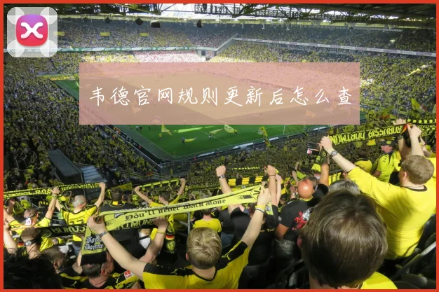 韦德官网规则更新后怎么查