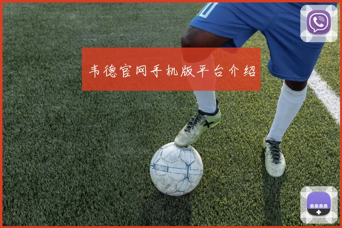 韦德官网手机版平台介绍